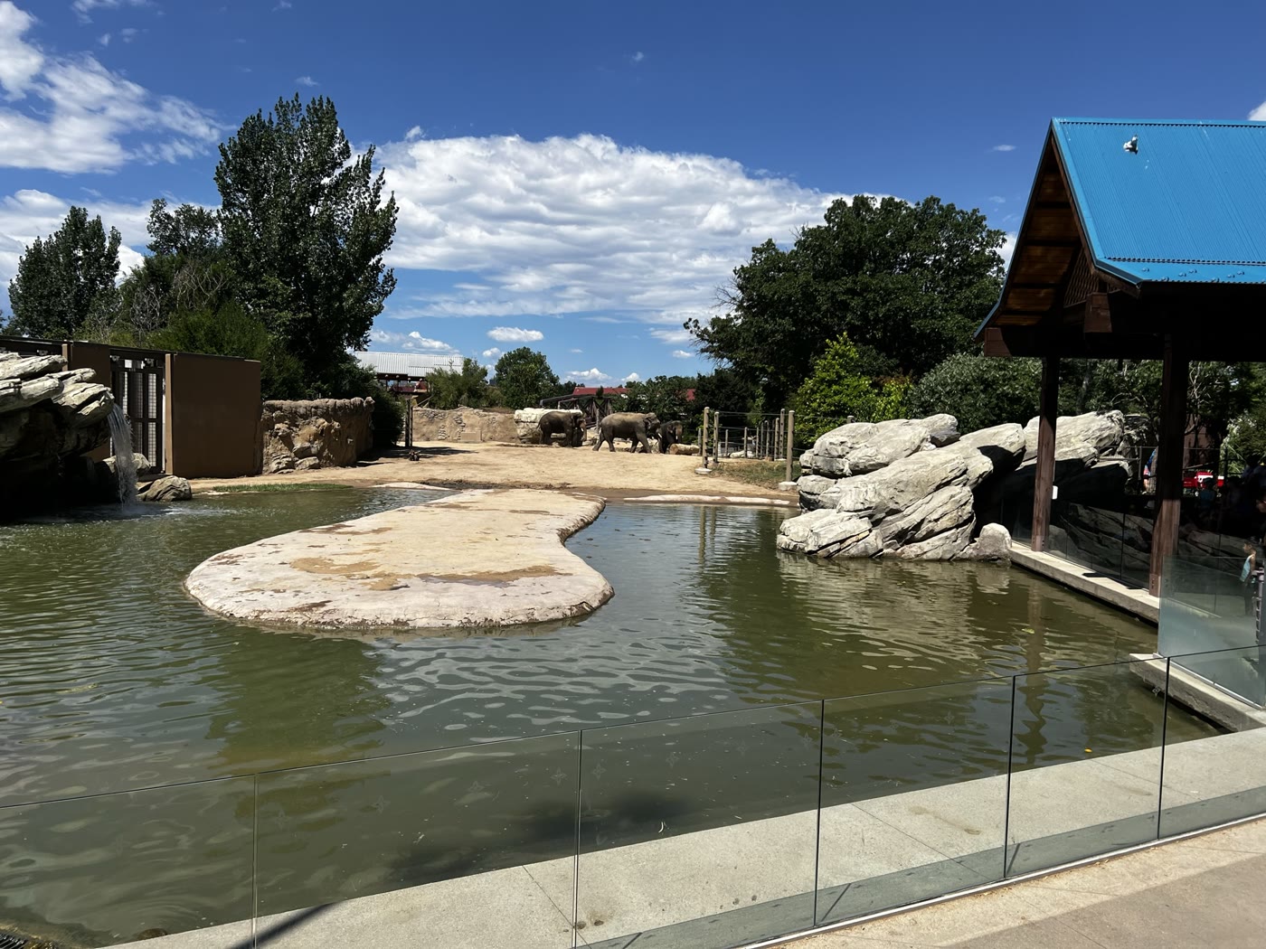 A pool, rocks, and landscaped elephant habitat at Denver Zoo
